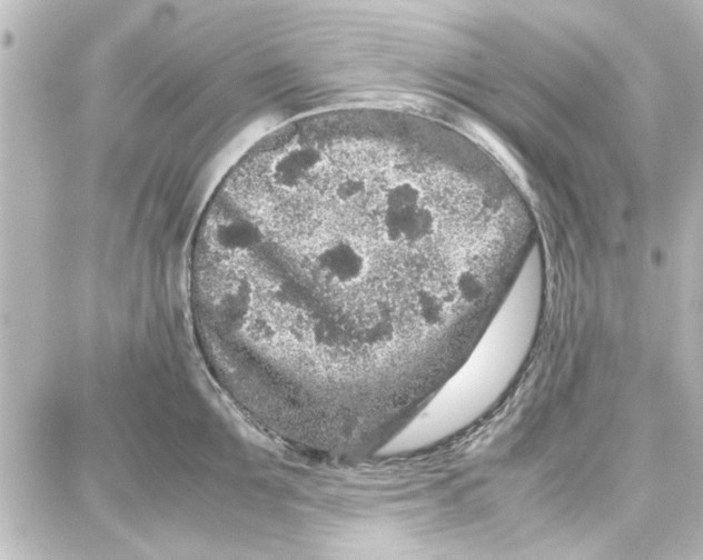 X0000087670907200705251616