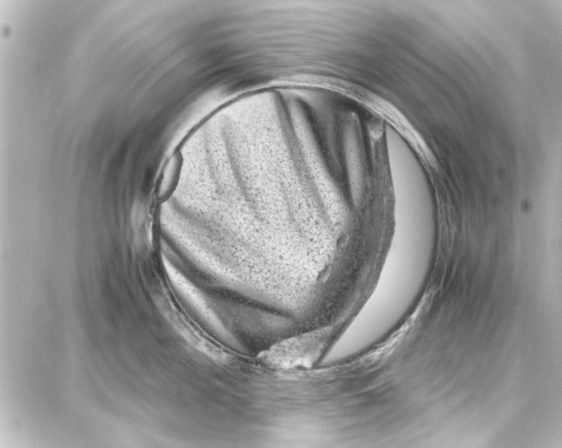 X0000087670908200705251616