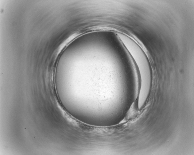 X0000087670909200705251616