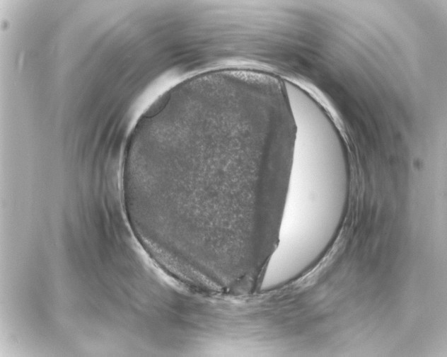 X0000087670910200705251616