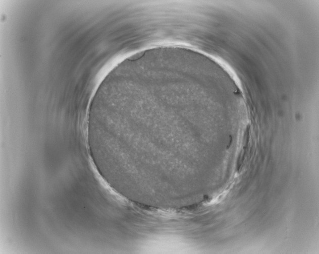 X0000087670911200705251616