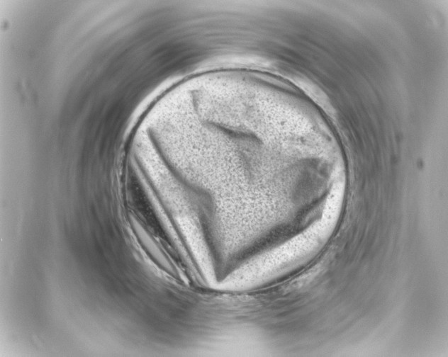 X0000087670912200705251615