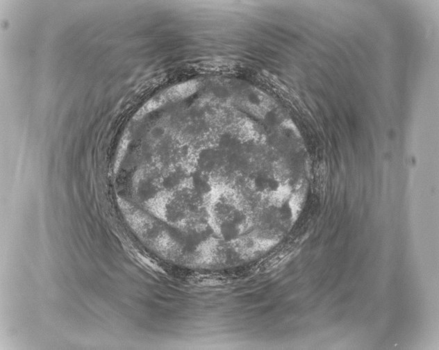 X0000087670913200705251615