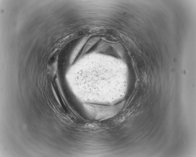 X0000087670914200705251615