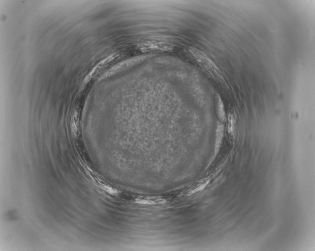 X0000087670915200705251615