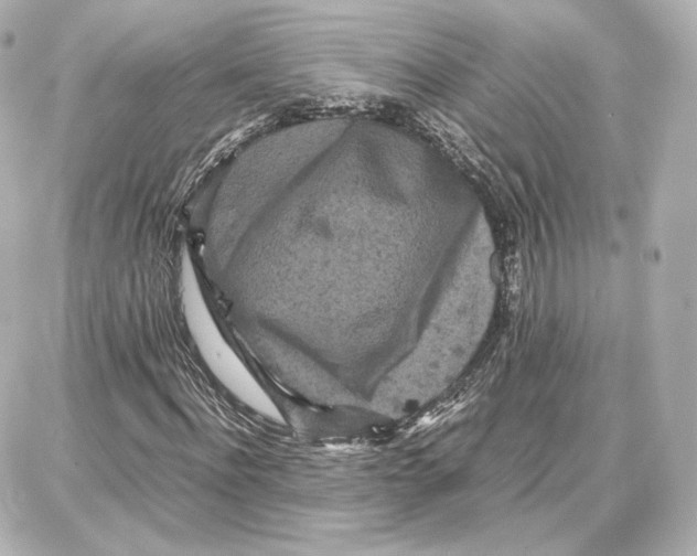 X0000087670916200705251615