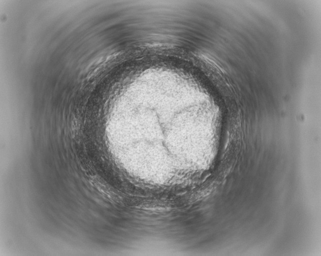 X0000087670917200705251615