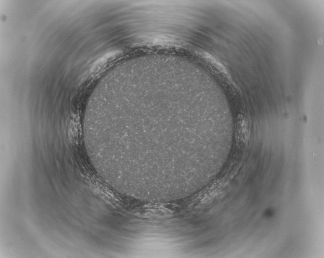 X0000087670918200705251615