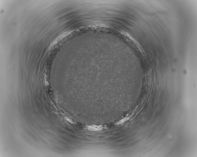 X0000087670919200705251615