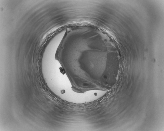 X0000087670920200705251615