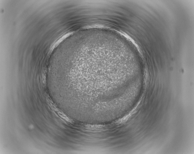 X0000087670921200705251615