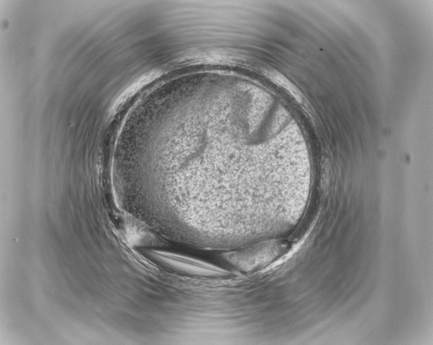 X0000087670922200705251615