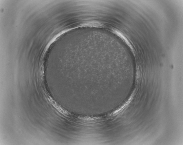 X0000087670923200705251615