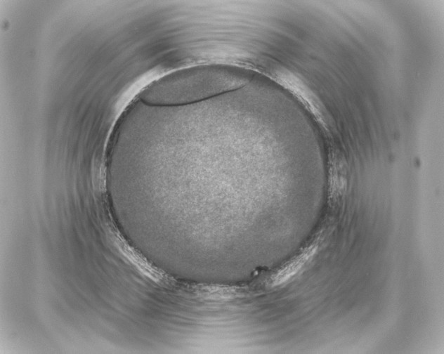 X0000087670924200705251615