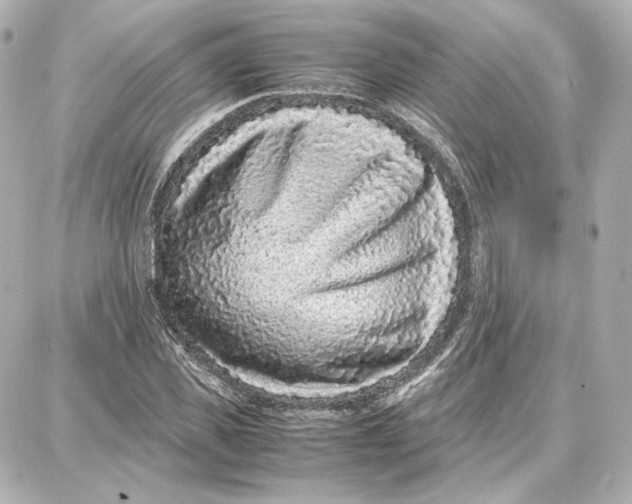 X0000087670925200705251615