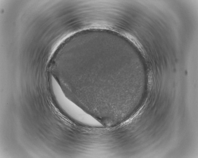 X0000087670926200705251615