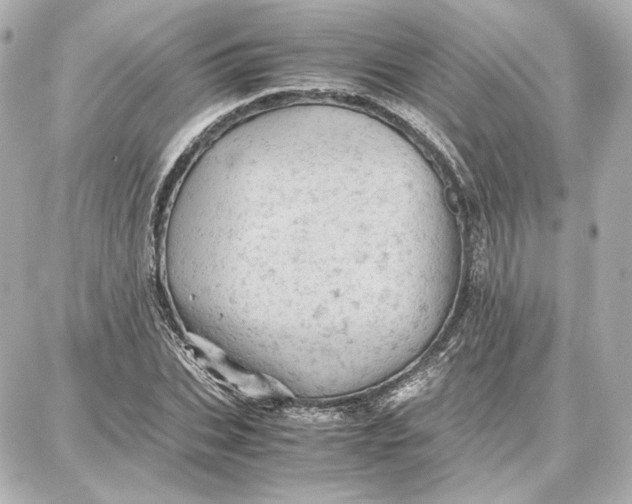 X0000087670927200705251615