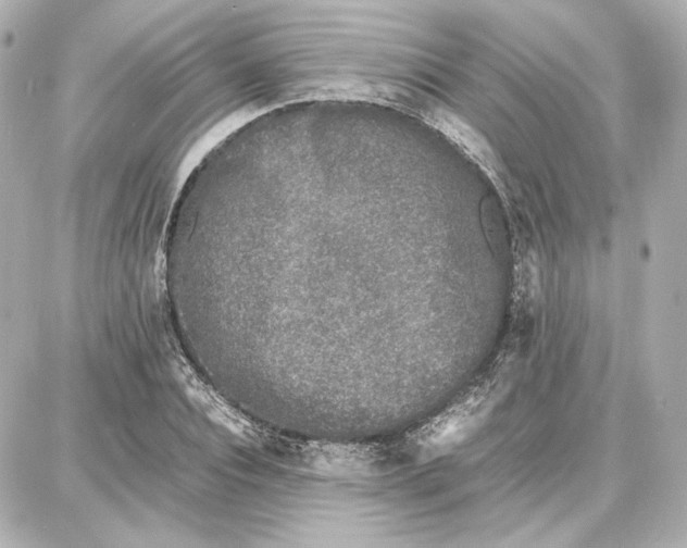 X0000087670928200705251615