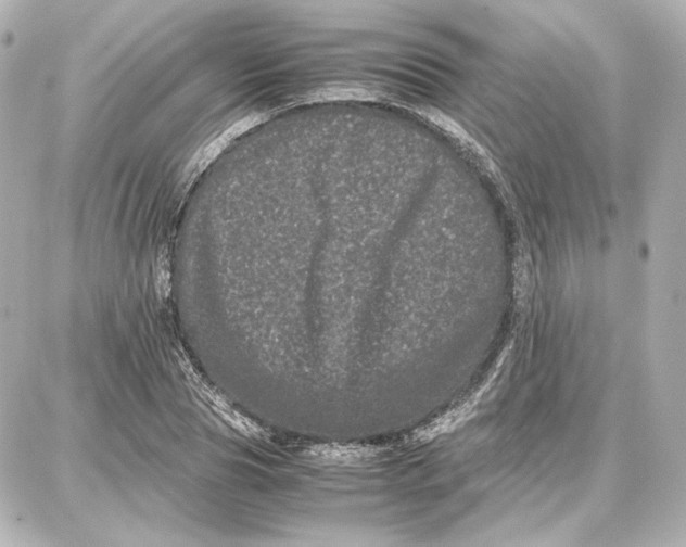 X0000087670929200705251615