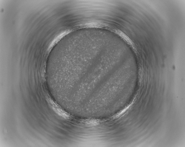 X0000087670930200705251615