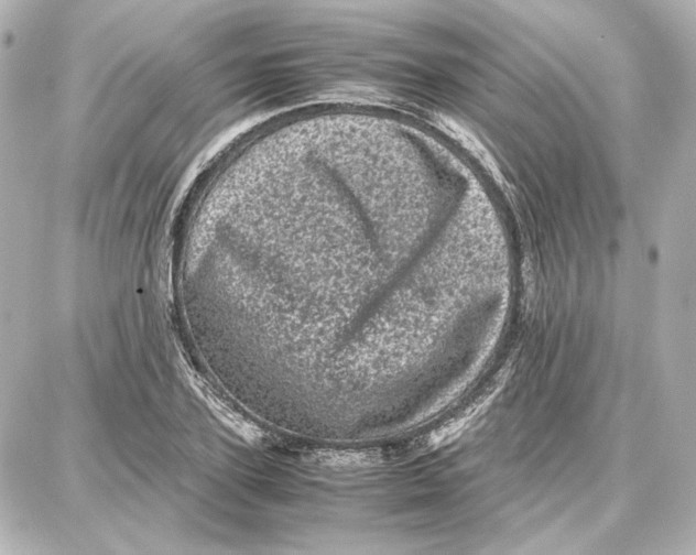 X0000087670931200705251615