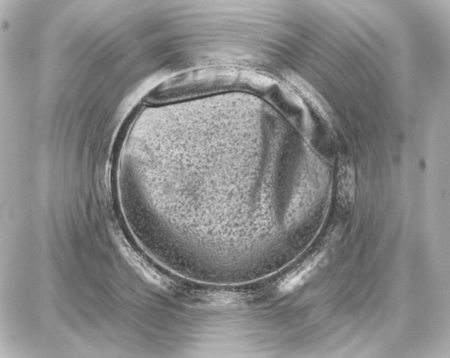 X0000087670932200705251615