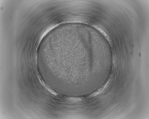 X0000087670933200705251615