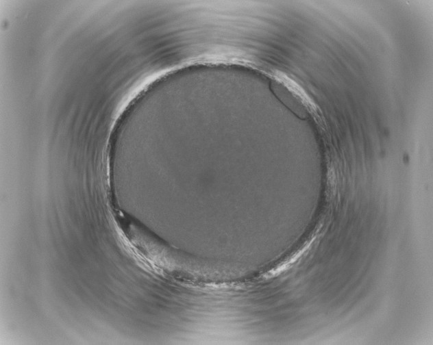 X0000087670934200705251615