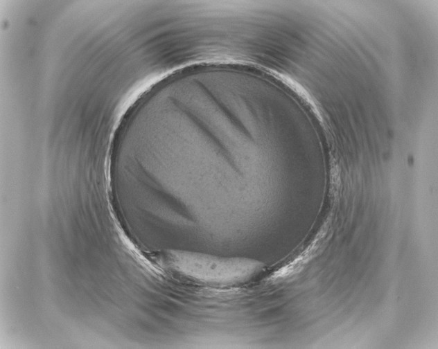 X0000087670935200705251615