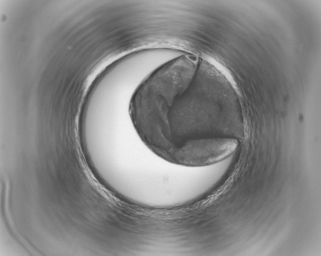 X0000087670936200705251615