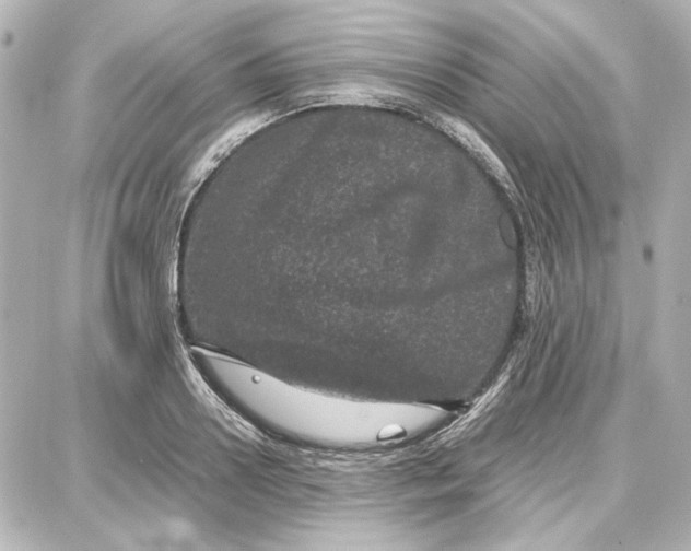 X0000087670938200705251615