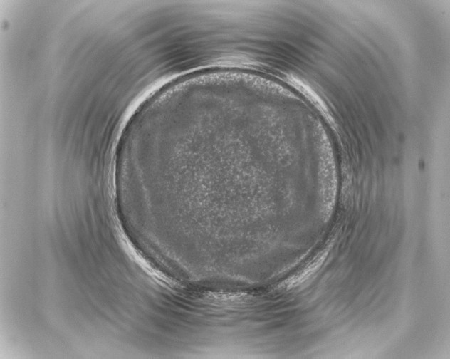 X0000087670939200705251615