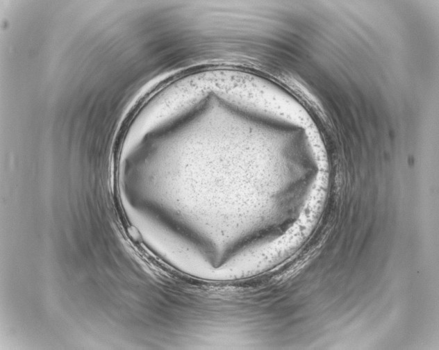 X0000087670940200705251615