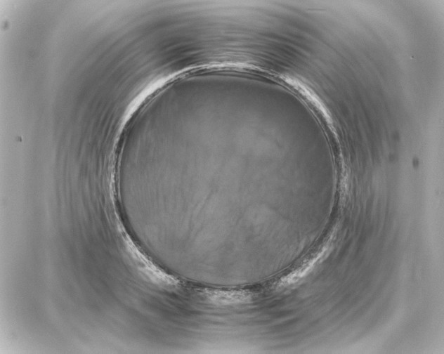 X0000087670941200705251615