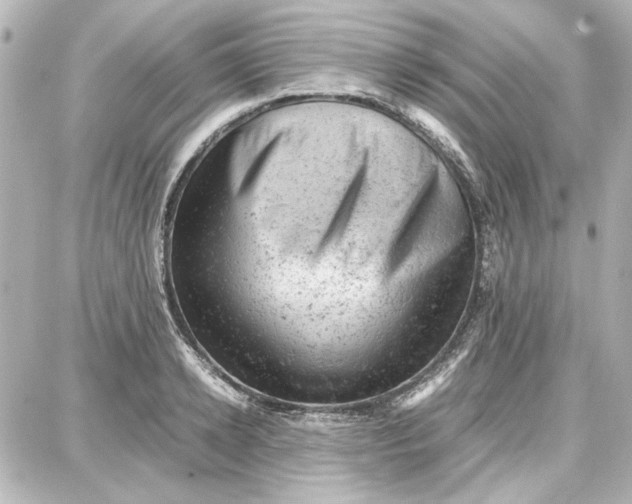 X0000087670942200705251615