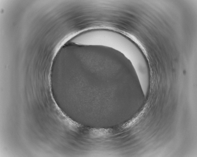 X0000087670943200705251615