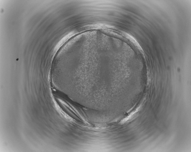 X0000087670946200705251615