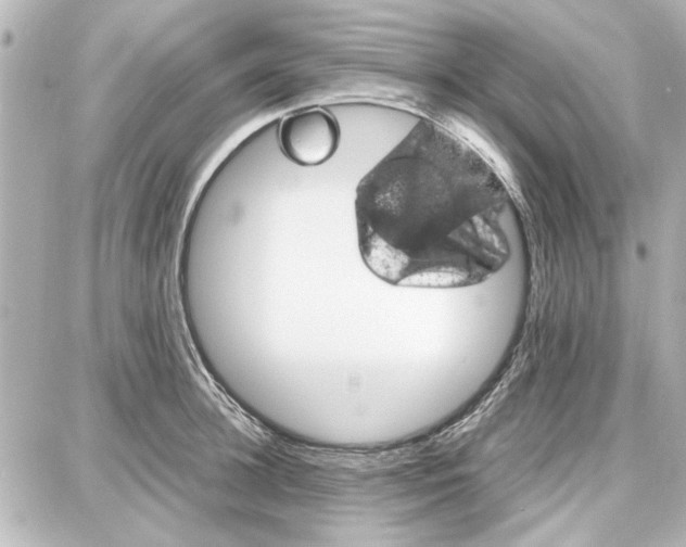 X0000087670948200705251615