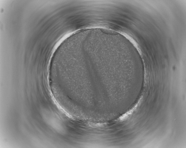 X0000087670949200705251615