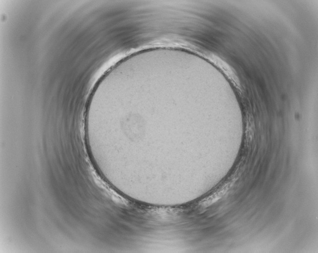 X0000087670950200705251615