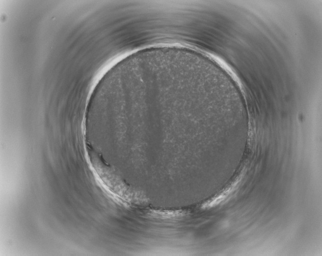 X0000087670951200705251615