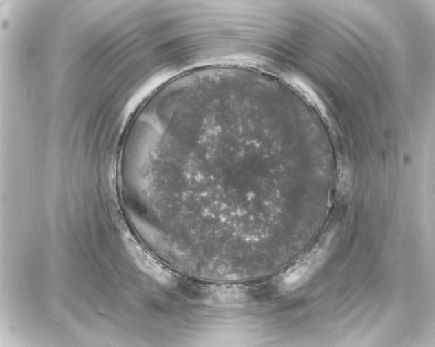 X0000087670952200705251615