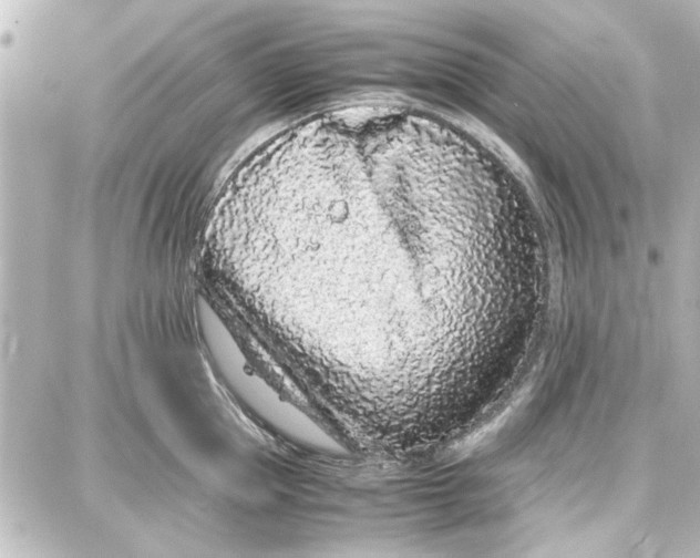 X0000087670953200705251615