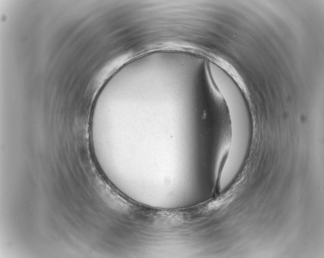 X0000087670954200705251615