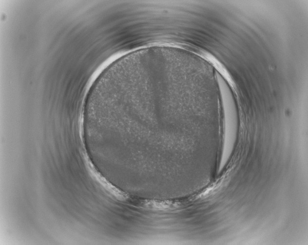 X0000087670955200705251615