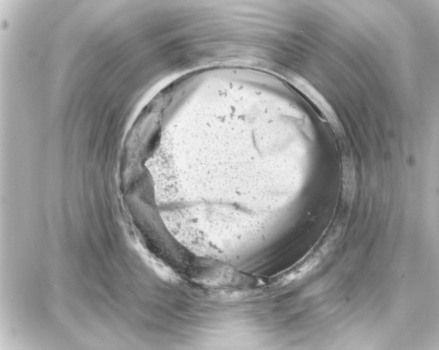 X0000087670956200705251615