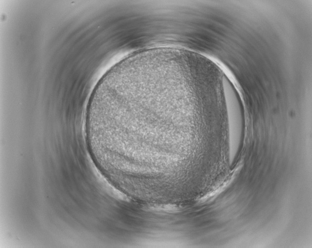 X0000087670957200705251615