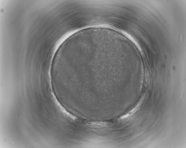 X0000087670959200705251615