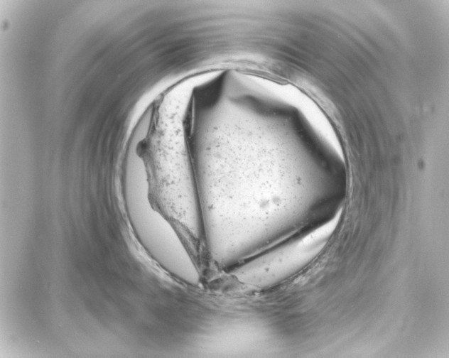 X0000087670960200705251615