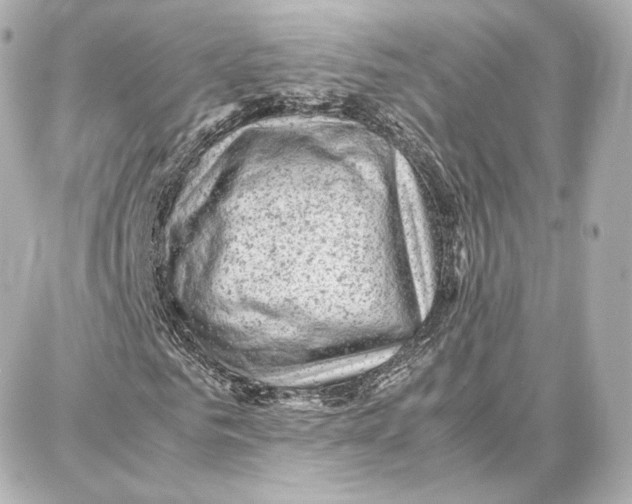 X0000087670961200705251615